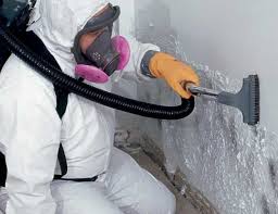 Best Forensic Mold Investigation in Creswell, OR